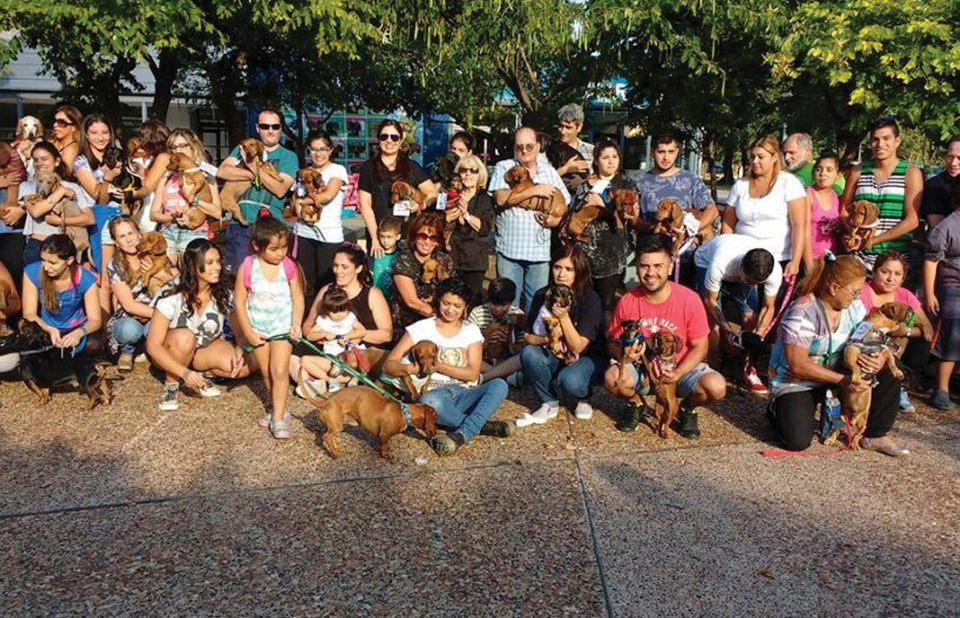 Club Salchichero cordobés: “Los perros salchichas son sensibles, compañeros, inteligentes y valientes”