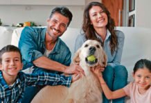 Asegurá a tu mascota en caso de accidente, robo y extravío