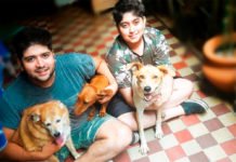 “Trabajamos para ayudar a erradicar el abandono y el maltrato animal” Animal-home