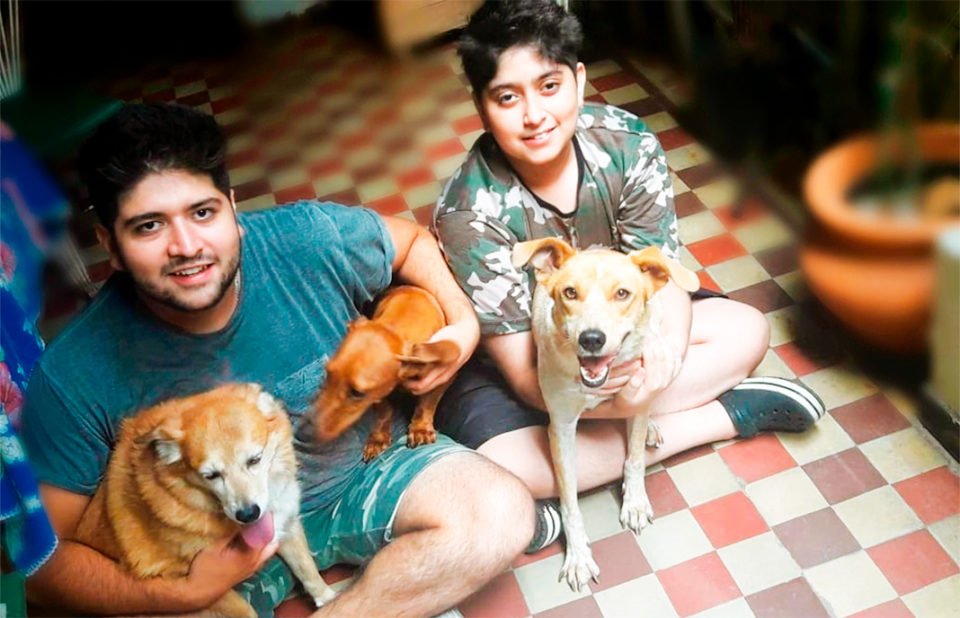 Animal-home