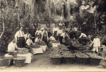 Jueves retro: La historia oficial de Las Magnolias y Poeta Lugones Finca-las-magnolias