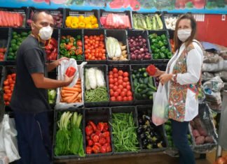Coronavirus: ¿Cómo están trabajando los comercios de la zona norte?