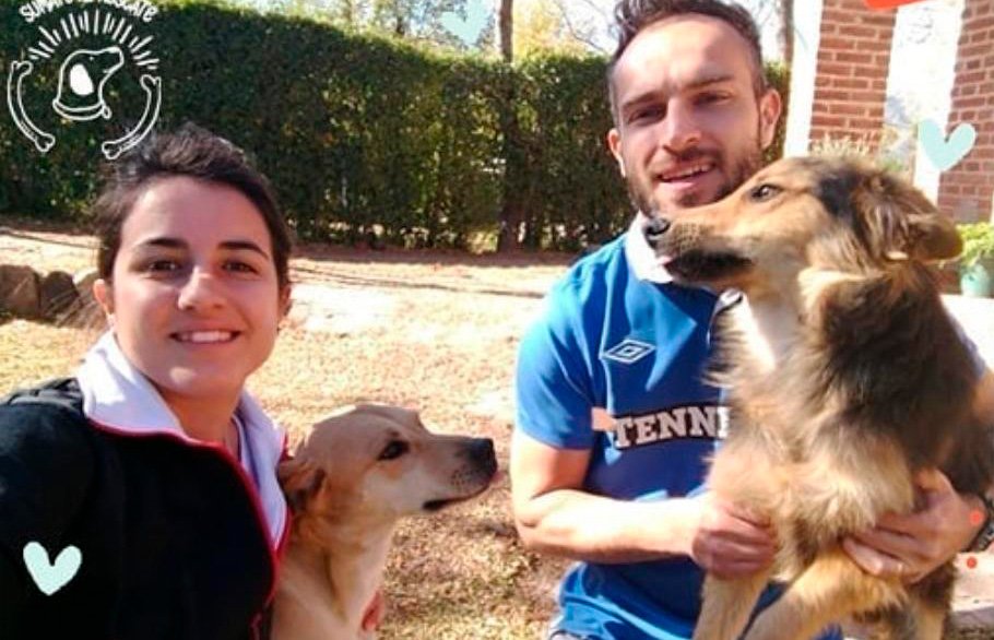 Sumate al rescate: “Queremos cambiar el mundo de los perros callejeros y abandonados”
