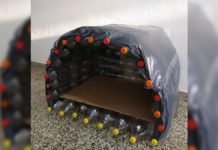 ¿Cómo fabricar cuchas para perros con botellas recicladas?