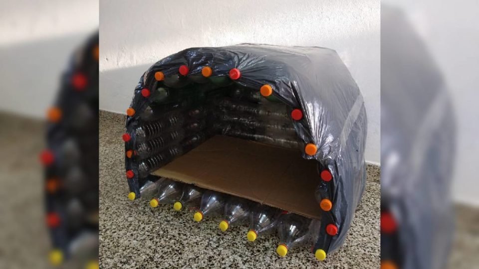 ¿Cómo fabricar cuchas para perros con botellas recicladas?