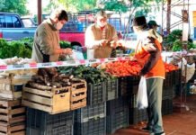 Volvieron las ferias francas a los barrios… ¿Cuándo y dónde funcionan en la zona norte?