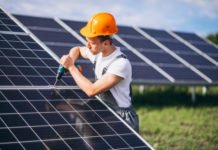 Los Oficios Verdes, las oportunidades de trabajo que surgen pospandemia