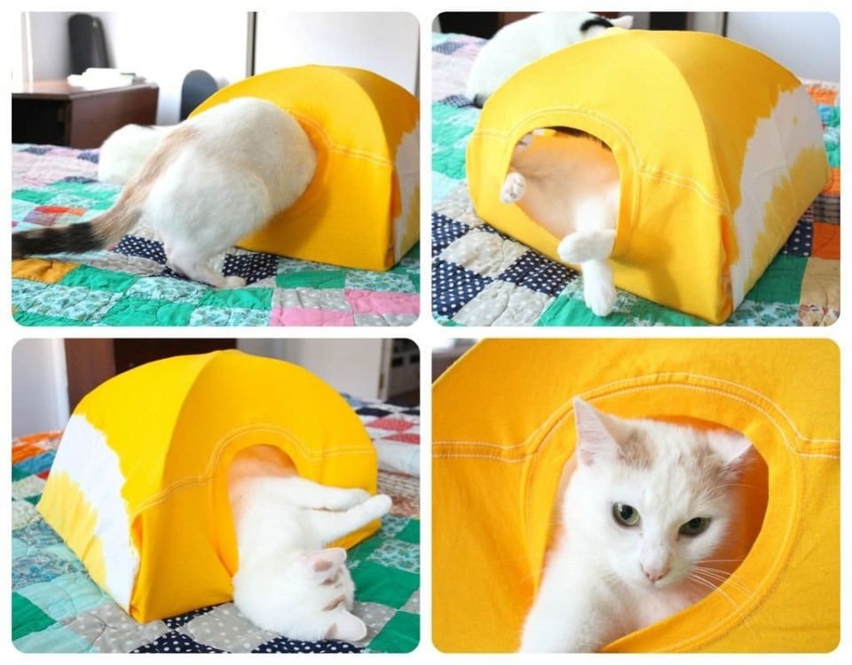 ¿Cómo hacer una casita para tu gato con una percha, cartón y una remera?
