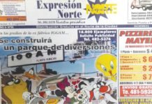 ¿Sabías que antes del Dino se iba a construir un Parque de Diversiones?