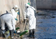 La recuperación de La Cañada ya está en marcha