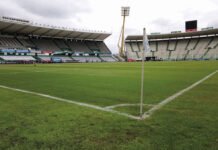 Referentes del sector, analizan cómo será el regreso del fútbol argentino