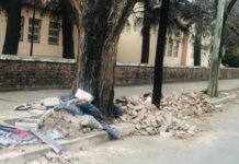 Continúa el problema de los basurales: las consecuencias en la salud Basurales