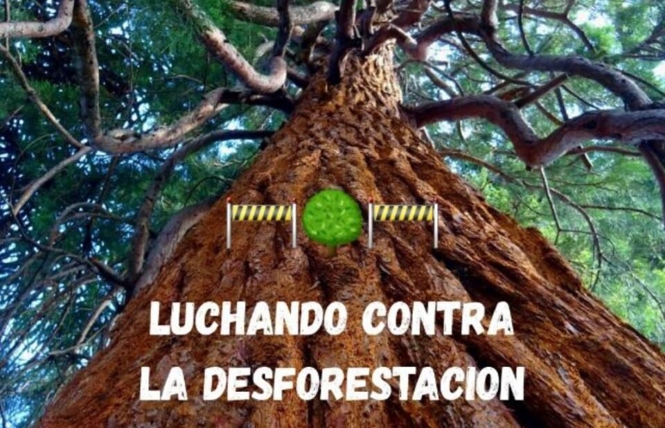 Deforestación