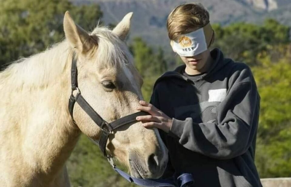 Caballos