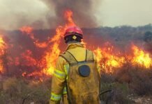 Incendios en Córdoba: un bombero contó la difícil situación que se vive llamas adentro Incendios