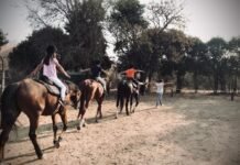 Equitación: el club cordobés que acompaña a niños, adolescentes y adultos en el amor por los caballos Equitación
