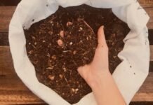 Ecolink: El proyecto ecológico para enseñar a hacer compost en casa Ecolink