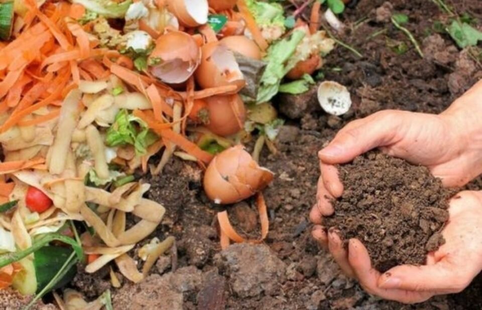 El programa “Huerta en tu Hogar” abrió las inscripciones para las semillas primavera-verano