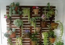Jardines Verticales: La incorporación de la vegetación en nuestros espacios