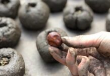 “Bombas de Semillas”: el proyecto que se arma en la Reserva San Martín para reforestar las Sierras Bombas de Semillas