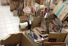 Recicladón: la iniciativa del colegio Cuatro Elementos, que ya recolectó 8000 kilogramos de cartón y papel Cuatro Elementos