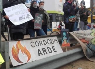 “Córdoba Arde”: El proyecto para la defensa de los bosques nativos Córdoba Arde