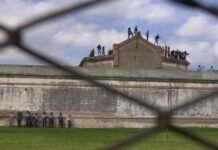 Cine hecho en Córdoba: 16 documentales para ver de manera abierta, libre y gratuita