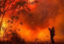 Tras la lluvia que paró los incendios, investigadores confirmaron cuántas son las hectáreas quemadas Incendios