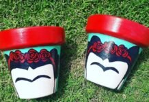 “Macetitas con Amor”: el emprendimiento que une la pasión por la pintura y las plantas Macetitas con Amor