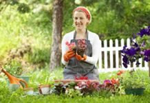 Llegó la primavera… ¿Cómo embellecer tu patio y jardín de manera natural? primavera