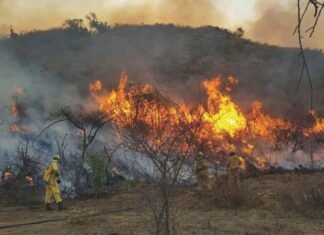 Prof. Dr. Raúl Montenegro: “La biodiversidad de un ecosistema no se planta” Biodiversidad