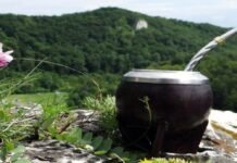 Día Nacional del Mate: por qué esta infusión natural es nuestro símbolo de identidad Día del Mate