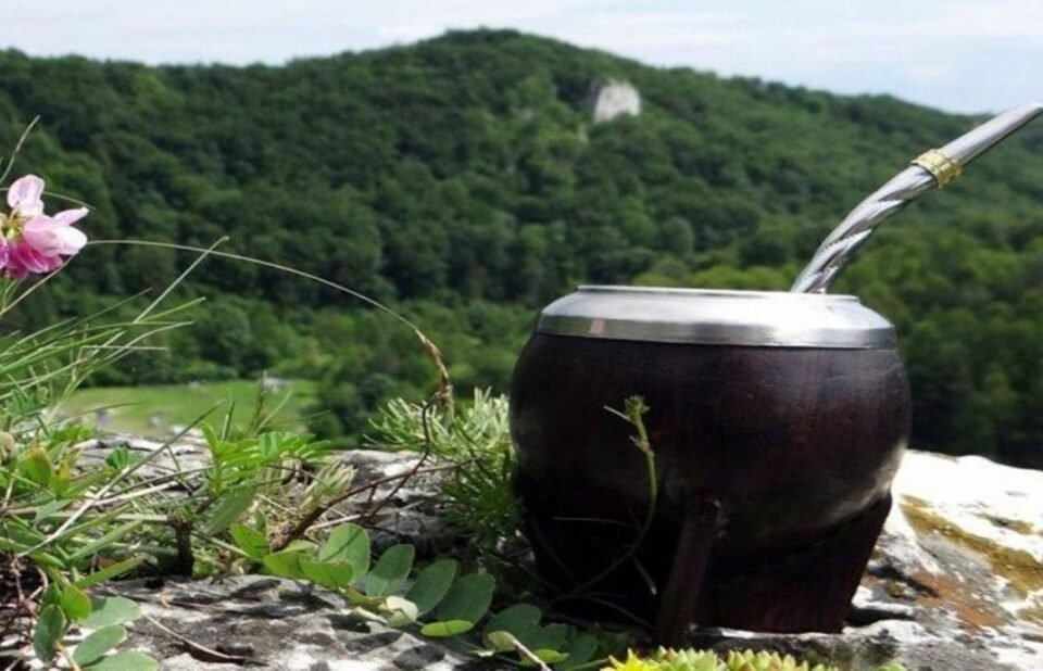 Día del Mate