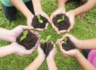 Ecocambio: un proyecto de estudiantes que planea extenderse y concientizar a gran escala Ecocambio