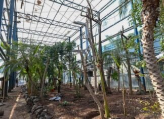 Córdoba tendrá un Instituto de Protección Ambiental y Animal Instituto de protección ambiental y animal