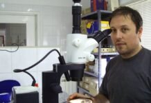 “Si todo sale bien, tendremos vacunas a comienzos del próximo año” Vacunas