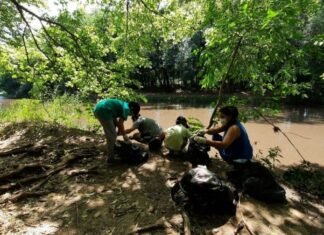 Río Sustentable, Ecolink y Ecovoz se unieron para limpiar la Reserva General San Martin en Córdoba Córdoba