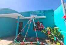 Los centros vecinales de la zona decoraron los barrios con sus arbolitos de Navidad