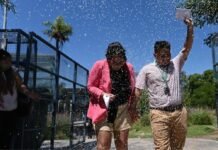 ¡Florece el amor! En el mes de los enamorados se estarán haciendo casamientos gratuitos en el Jardín Botánico Jardín Botánico