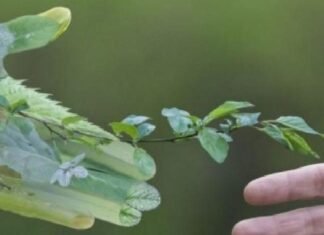 Este Sábado, todos a reciclar en el gimnasio “In Club” de B° Las Margaritas