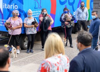 2 móviles de castraciones gratuitas circularán por la ciudad móvil de castración