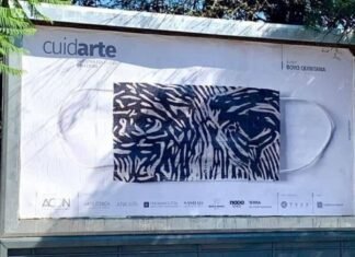 “CuidArte”: La intervención de barbijos que llegó para copar las calles de Córdoba CuidArte