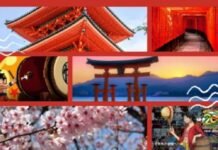 ¿Sabías que en la zona norte podes aprender el idioma japonés?