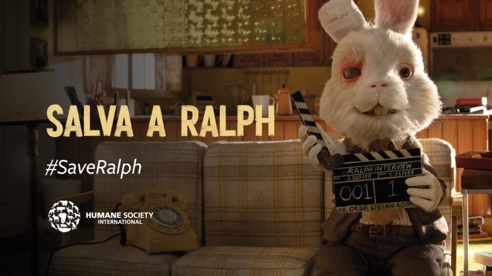 “Salva a Ralph”: Ningún animal debería morir en nombre de la belleza