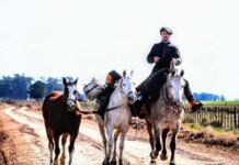 Vida de gaucho: Renunció a su trabajo y recorre el país con sus tres caballos caballos