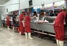 ¿Cómo afecta el cierre a las exportaciones de carne en el mercado local?