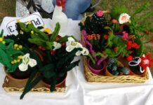 El sol sale para todos: La “Gran Feria de B° Alto Verde funciona todos los sábados y domingos