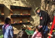 Consciencia ecológica: la Escuela Mutualismo Argentino está realizando su propia huerta Escuela Mutualismo