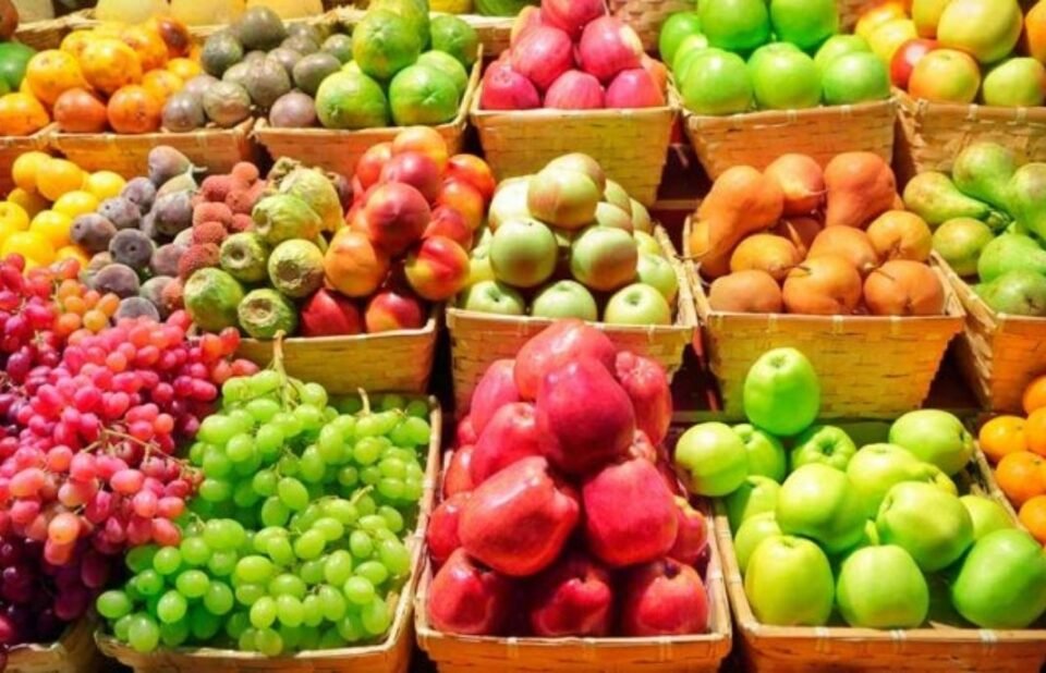 Campaña de Alimentaciónn
