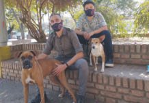 “Muchas personas comenten el error de humanizar a su mascota” Mascotas